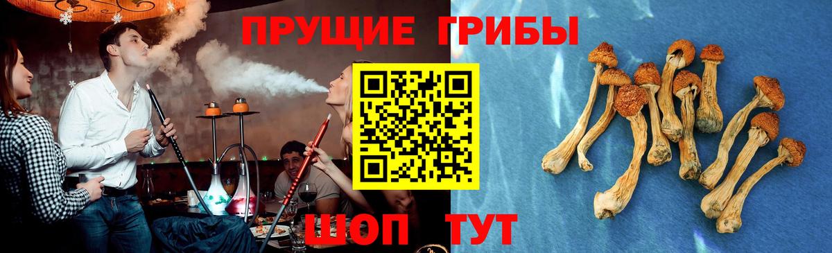 Новоалександровск  Псилоцибиновые грибы мицелий  Вход с VPN 